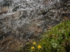 LR-Web-3794