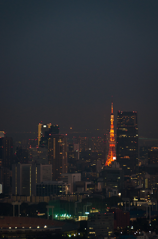 The Tokyo Tower by night