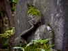 Statue in the Nezu Museum Garden