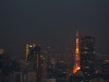 The Tokyo Tower by night